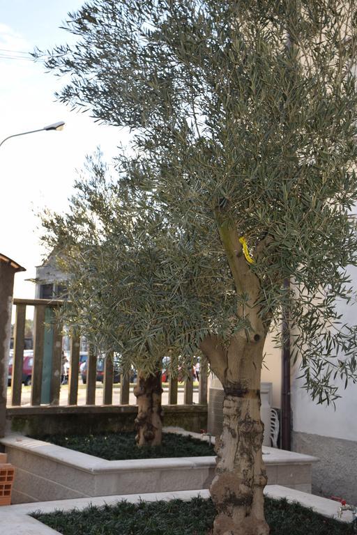 B&B Leonardo رو المظهر الخارجي الصورة